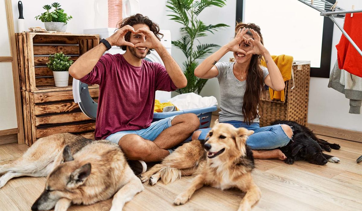 Animali domestici in condominio: Regole, diritti e buone pratiche